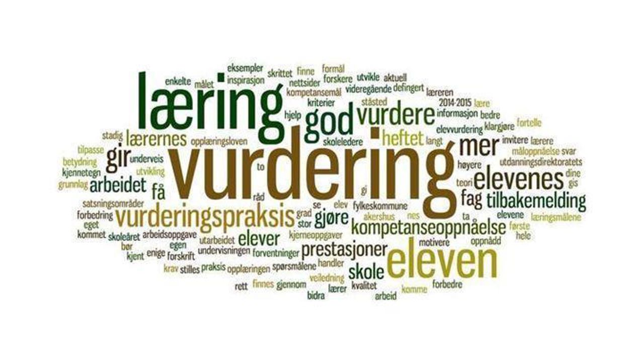 elevundersokelsen.jpg